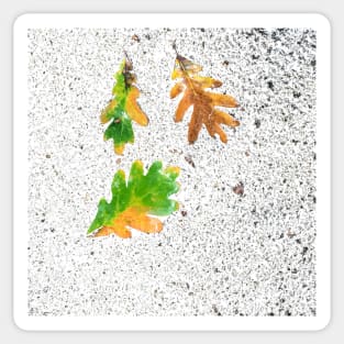 Rainy Leaves on White Snow Ice Terrazzo Background Sticker